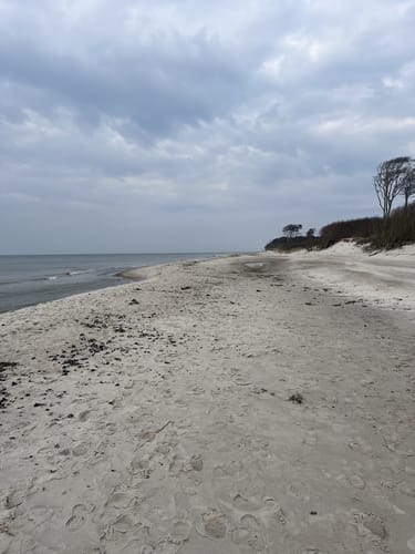Von Prerow zum Darßer Weststrand