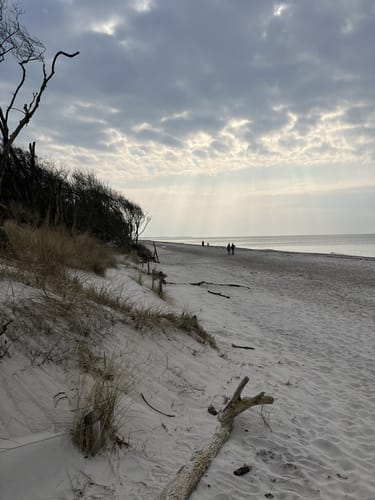 Von Prerow zum Darßer Weststrand