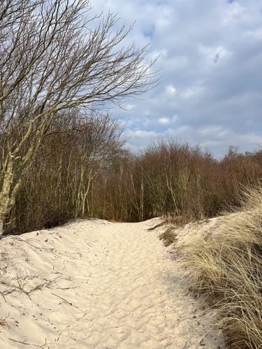 Von Prerow zum Darßer Weststrand