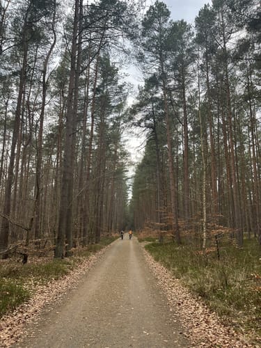 Von Prerow zum Darßer Weststrand