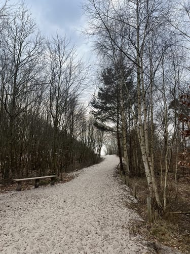 Von Prerow zum Darßer Weststrand