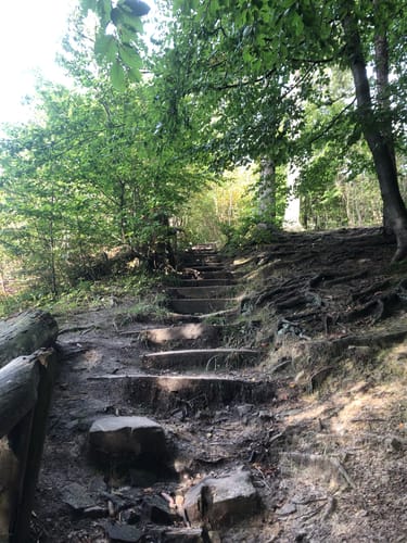 Rundweg Teufelsbrücke - Rodenberger Höhe
