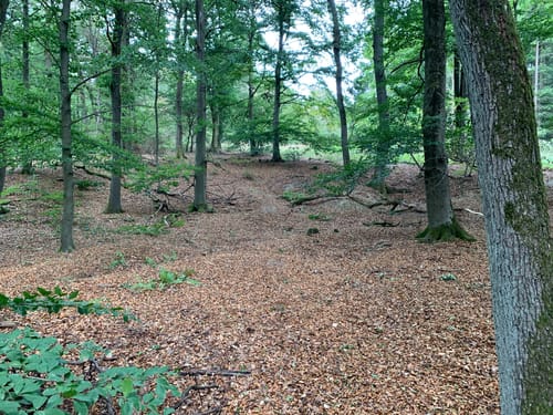 Aarquelle Rundweg