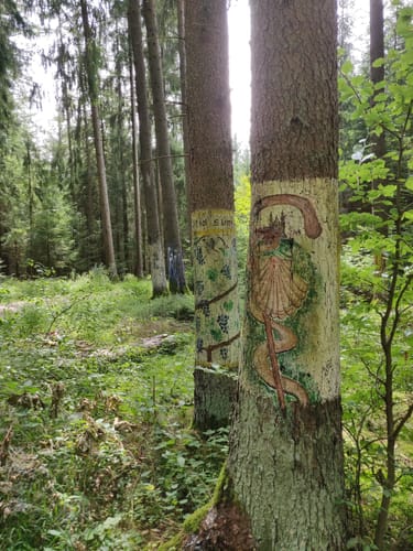 Kasing - Pyramidenfeld - Jakobs-Rast