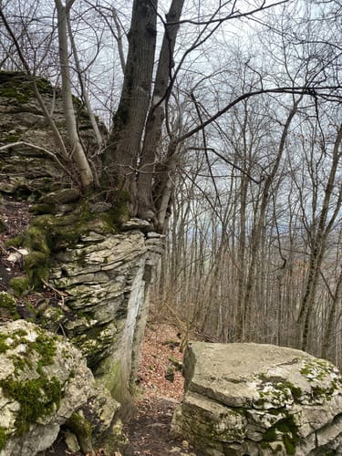 HOCHGEHBERGE I "hochgehadelt" (Premiumwanderweg)