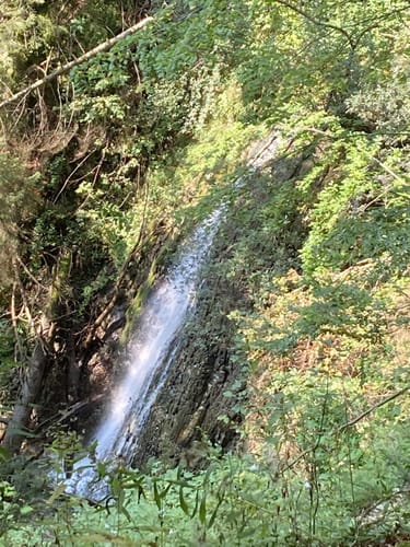 Märchenwald - Nesslauer Wasserfall