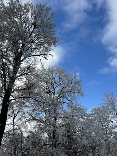 Rund um den Rettershof (Weg 8)