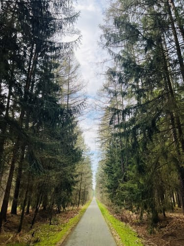 Mountainbiketour zur Brikettfabrik Louise