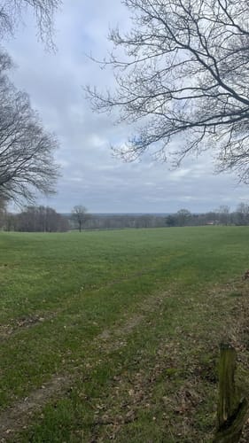 Hesingen/Hezingerveld/Springendal Blauwe Wandelroute