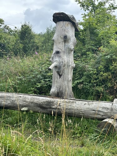 Rundwanderweg Granetalsperre