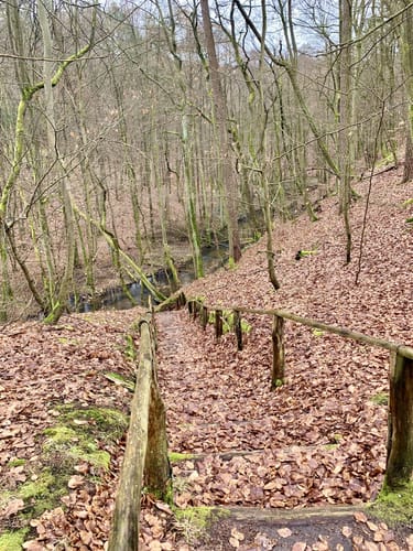 Von Siehdichum durchs Schlaubetal bis zum Wirchensee