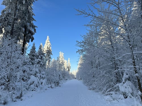Taufsteinloipe