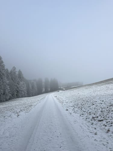 MTB: Rund um den Schliersberg
