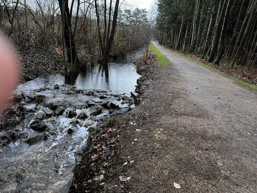 Murner See Weg