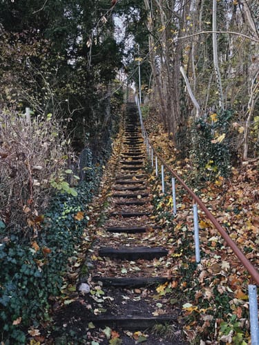 Seenrundweg Waldsieversdorf