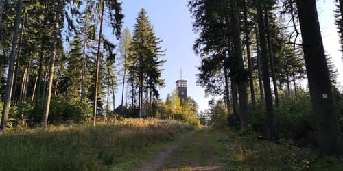 Vogtland Panorama Weg Etappe 11: Vogelsgrün - Lengenfeld