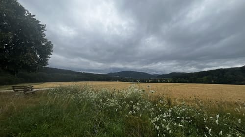 Rundwanderweg R4 am Rettershof