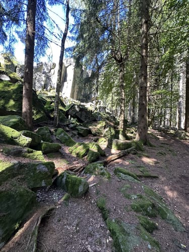 Maulkuppe - Rhönrundweg 14