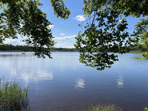 5-Seen-Wanderung um das Rotmoos