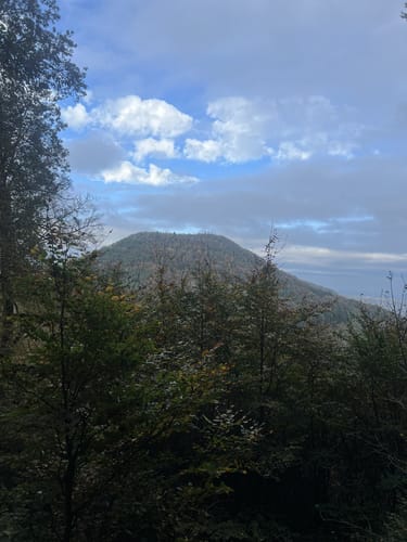 Annweilerer Burgenweg über Föhrlenberg