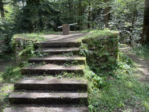Wasser-, Wald- und Wiesenpfad (Premiumwanderweg)