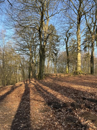Stellmoor-Ahrensburger Tunneltal - Höltigbaum