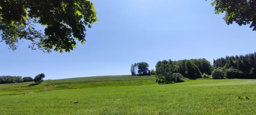 Schönborn - Sachsenburg - Dreiwerden