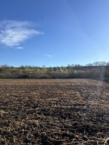 ZA2 Seenweg - Wanderdreiklang Zaberfeld