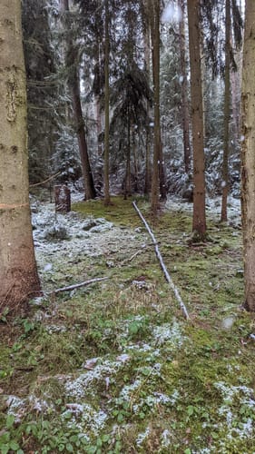 Rund um den Stausee Hohenfelden