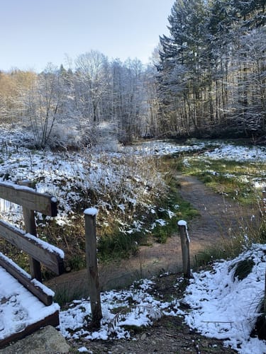 Yburg Rundweg: Zur Gipfelburg