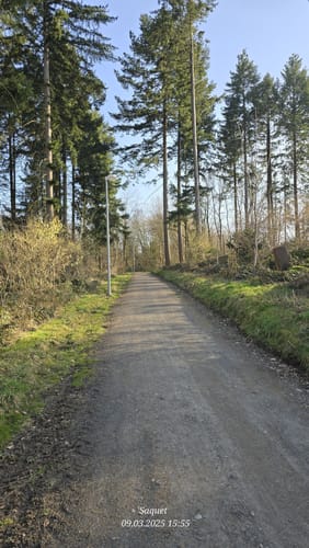 LZ11 - Rundwanderweg Kalenborn