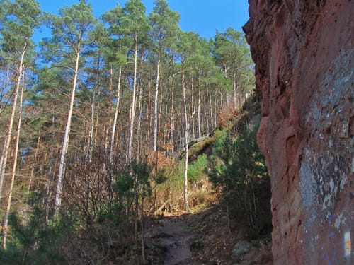 Geiersteine-Tour (Premiumwanderweg)