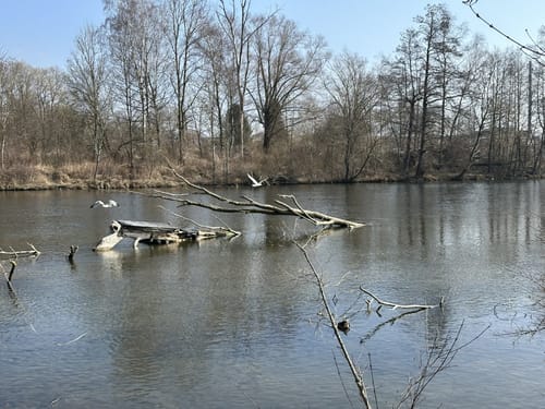 An der Amper von Dachau nach Herbertshausen