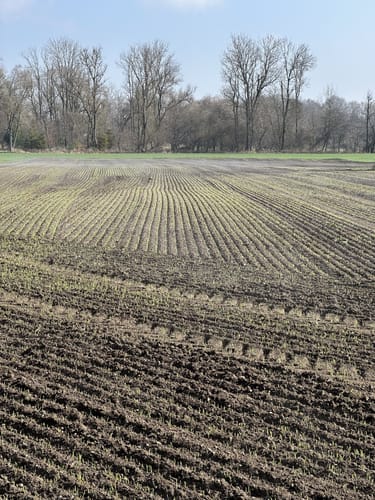 An der Amper von Dachau nach Herbertshausen
