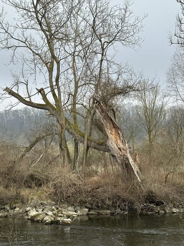 An der Amper von Dachau nach Herbertshausen