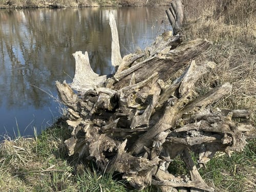 An der Amper von Dachau nach Herbertshausen