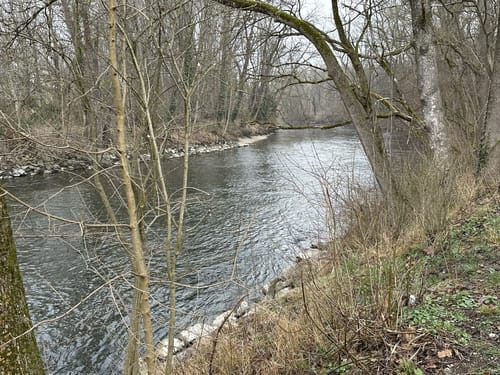 An der Amper von Dachau nach Herbertshausen