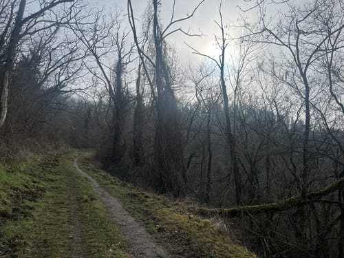 Hammerstein Rundweg He2
