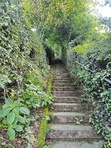 Tönsbergblicke