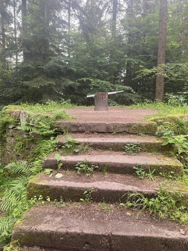 Wasser-, Wald- und Wiesenpfad (Premiumwanderweg)