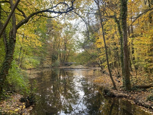 Abenteuer-Familien-Rundweg in Stein