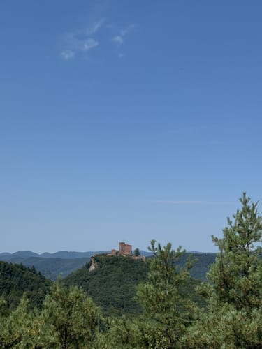Föhrlenberg - Neukastell - Slevogthof