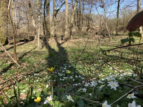 Rund um den Wildpark Alte Fasanerie