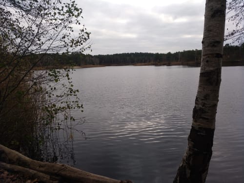 Prieros - Groß Köris - Schmöldesee