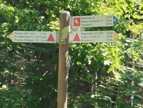 Vom Naturfreundehaus zum Waldhaus Drei Buchen