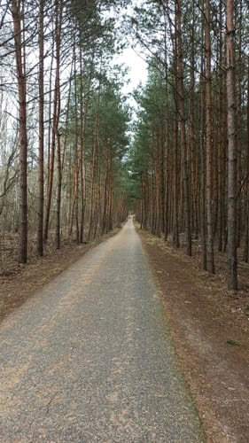 Berliner Mauerweg