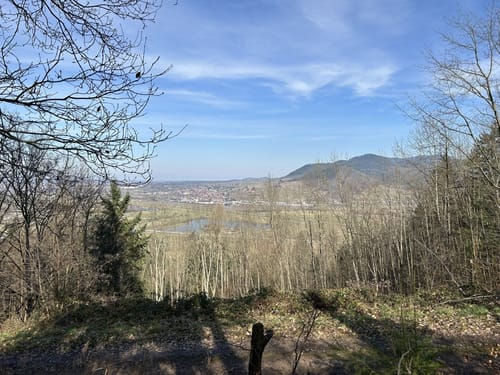 Zunsweiler - Silberköpfe