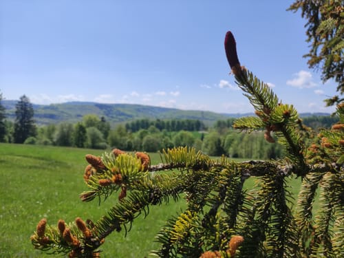 Briloner Waldfeenpfad