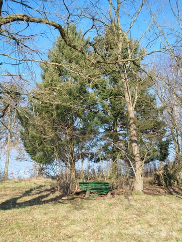 Bad König: Drei-Mühlen-Weg