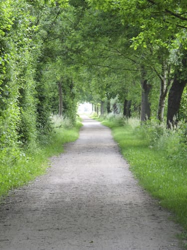 Lippstadt Rundweg L2